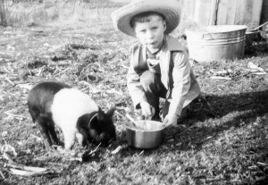 1948 Greg Thomsen feeding Seafoam Farmbloc Fognozzle